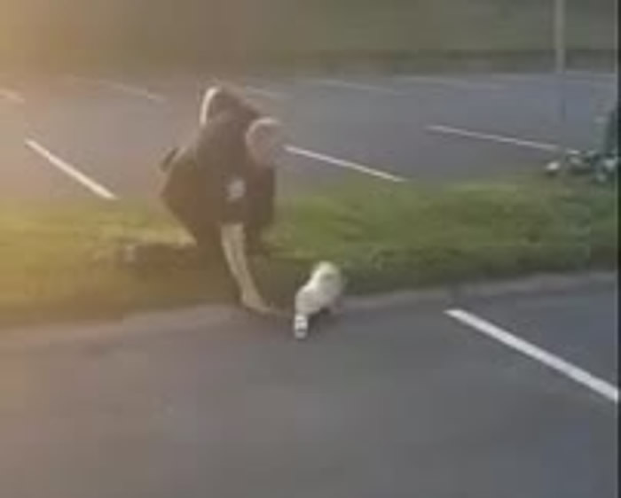 �������࣬�������ڳɹ��ӽ�����������Ϊ��������