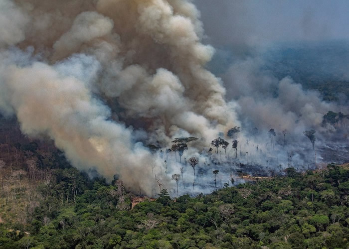 巴西亚马逊森林大火仍未扑灭 再有数百个新火头涌现