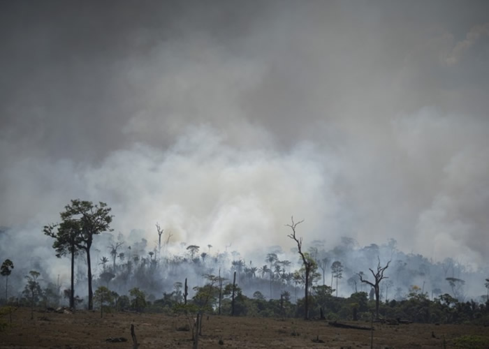 巴西禁烧令无效?推行首天现上千新火头