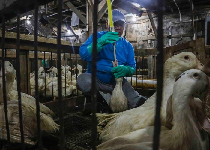 �����������һֱ������ ����ŦԼ����ᶯ��ȫ�н���