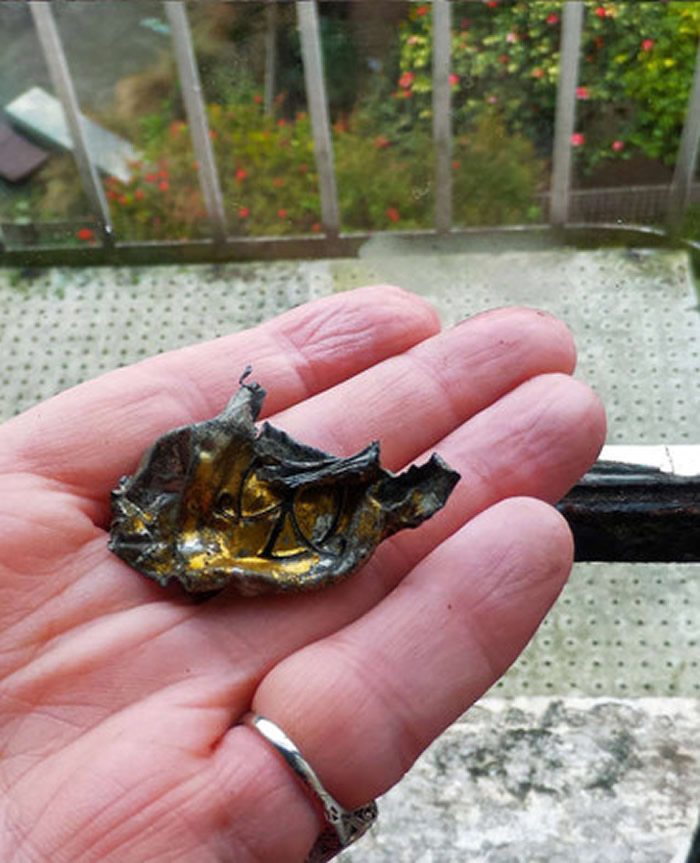 美国旧金山女子经常喂食乌鸦 每天都能收到乌鸦带来的“小礼物”