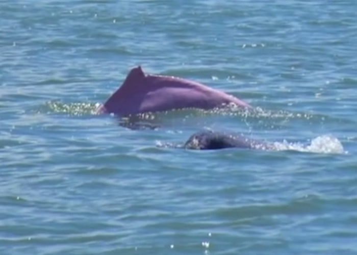 �㶫ʡտ���д�Ⱥ�����ں�����Ծ����Ϸˮ