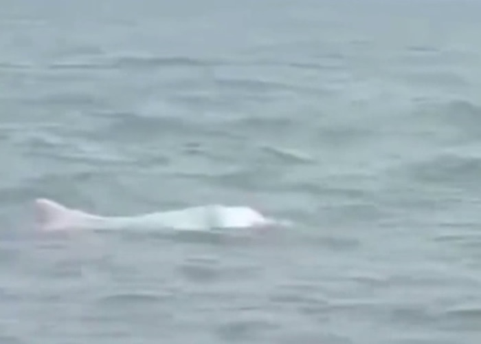 �㶫ʡտ���д�Ⱥ�����ں�����Ծ����Ϸˮ