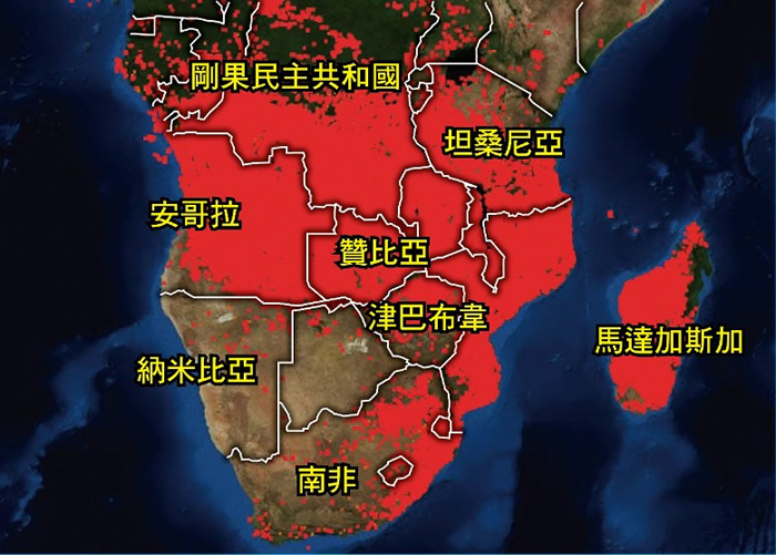 民众担忧非洲雨林同样面临野火肆虐的危机