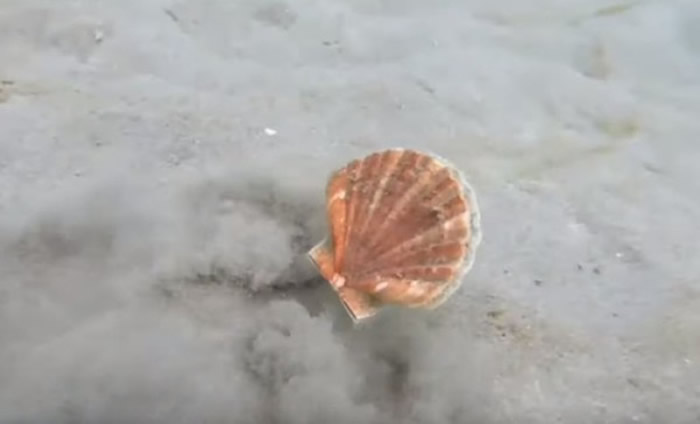 ���ܵļ������ȱ��ں���ʱ���Գ������˵��ٶ��ƶ�