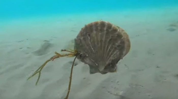 ���ܵļ������ȱ��ں���ʱ���Գ������˵��ٶ��ƶ�