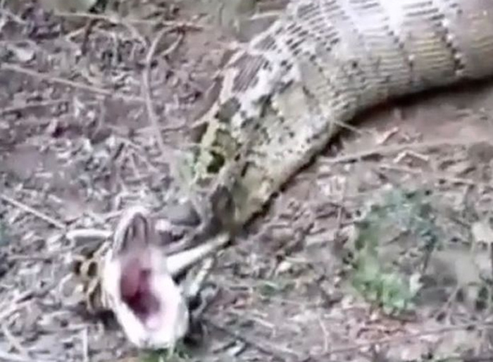 �������������߶������ҵ��Լ�ʧ�ٵ�ɽ��