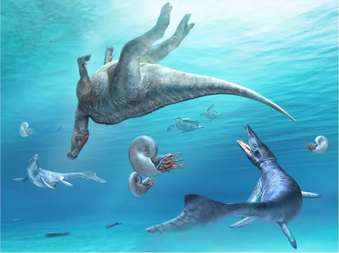 ձHakobuchiز㺣зѼKamuysaurus japonicus