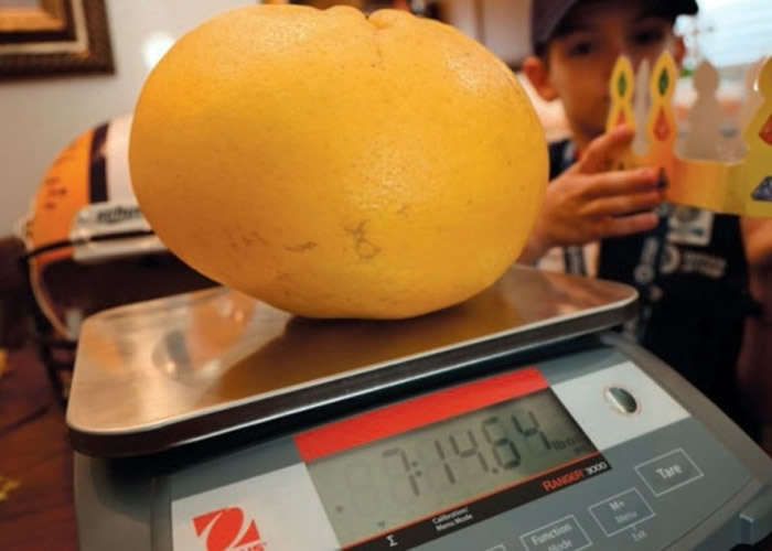 ����·��˹�����ݷ���ֲ������������� ���������ʿ�����¼