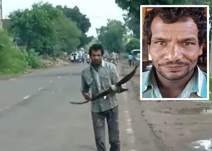 ӡ�����������3��ǰ����ѻʧ�ܺ�ѻȺ�Ǻ����� ÿ����ű��⹥��