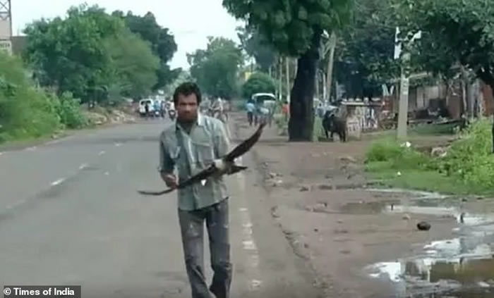 ӡ�ȱ���������������Ϊɱ��С��ѻ 3��������ѻȺ�������׷�ٹ���