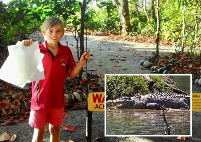 澳洲昆士兰政府欲驱逐栖息在小溪的巨鳄“霍华德” 10岁男童写信反对引居民共鸣