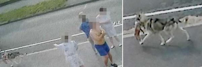 Ӣ���Ӵ�é���й�ʿ�洳��ҧ�������� �����Ź�ʬ�ܵ����