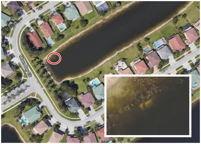 美国佛罗里达州男子用谷歌地图发现池塘中的汽车破22年悬案