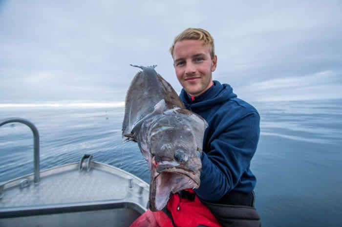 Ų�����Ӳ����š�����ͷ�������������������ޡ�Chimaeras Monstrosa Linnaeus��