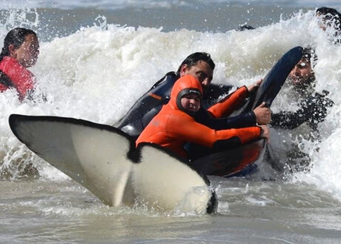 ����͢��̲7��ɱ�˾���ǳ 6���ɹ����