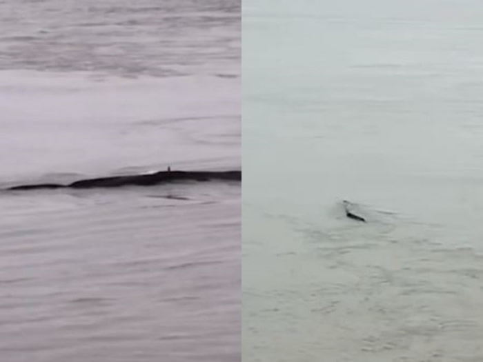 20�׳�����Ͽˮ�֡��ڰ���ʡ�����ж�����ͷ�����ϰ�����Ŀ�ع⣺�촬����������