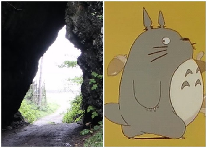 日本青森县六所村海边岩穴似龙猫侧身 网民热议