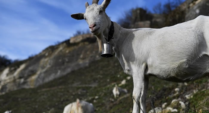 ����������������Ϊ�����ֻ��ɳ���ɽ������Ա��