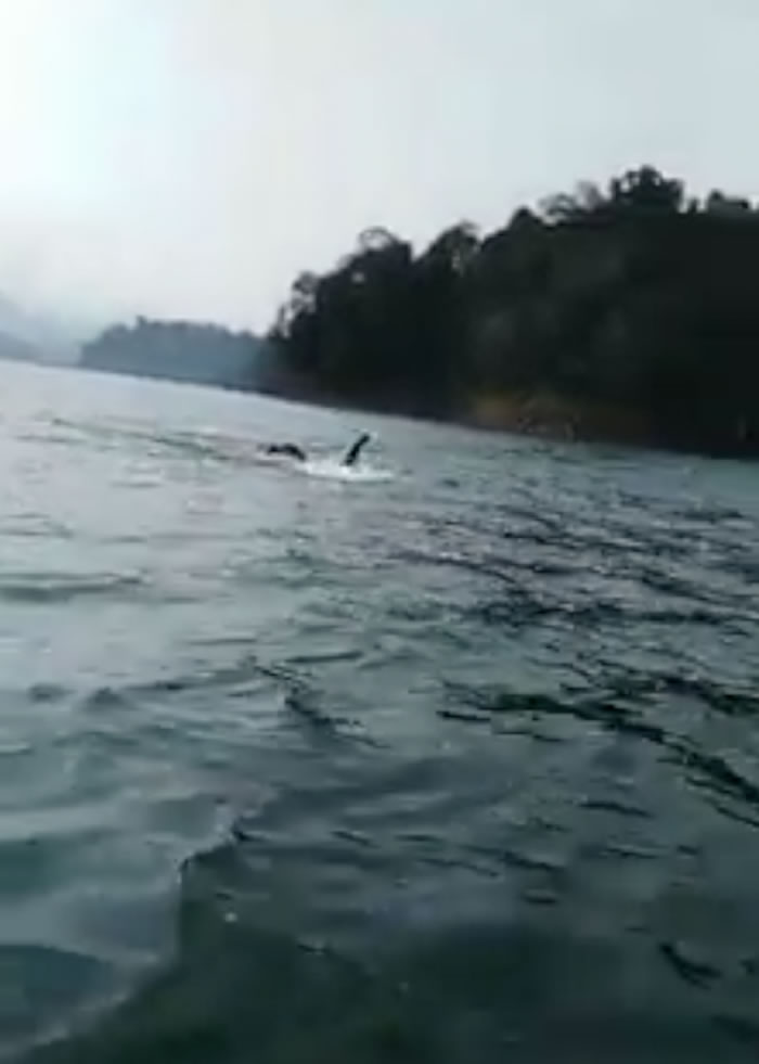 ǵǼ¥ݵĿݺˮ֣ԭǴӾ