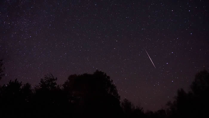 2019��10��22���Ի��������꼫����