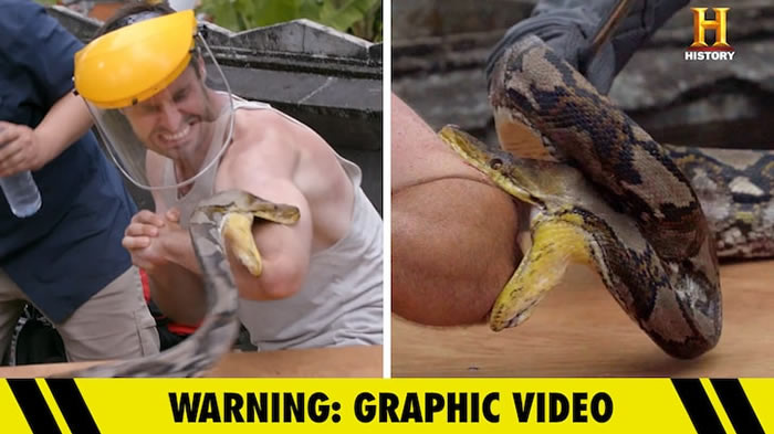 “疼痛之王”(Kings of Pain)节目:澳大利亚科学家Adam Thorn让蟒蛇咬自己的手