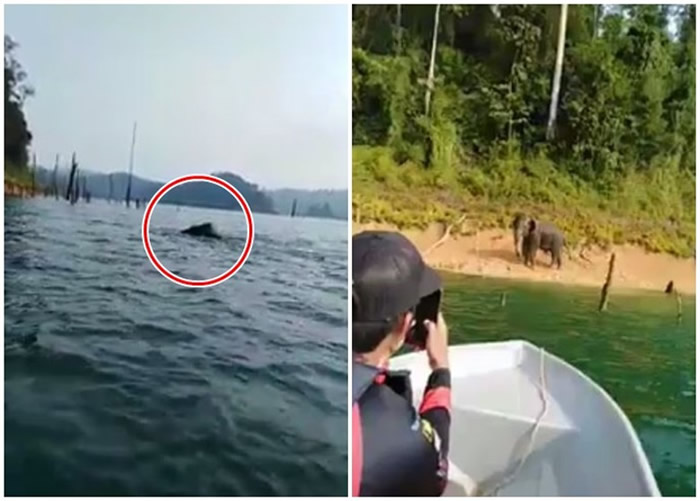 �������ǿ��ݺ�������Ӿ Զ��������˹��ˮ��