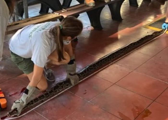 ������������ݹ��ҹ�԰�Կ����沶����3.3���������