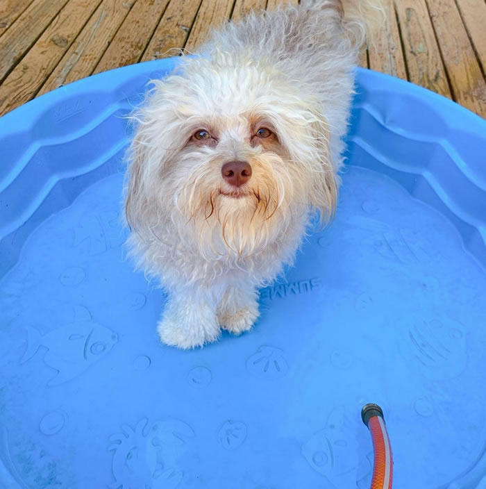 ��������ͼ���Ȯ��ŵ�𡱳��š�������