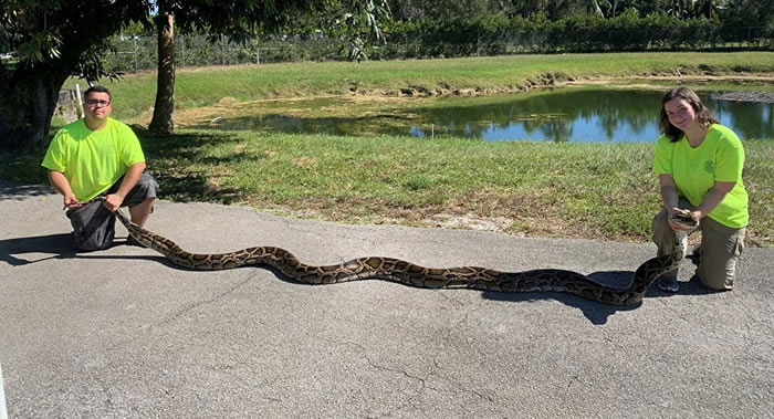 ������������ݴ��������Ұ�����ﱣ��������44�����������