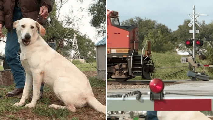 ������������������������Ȯ������ǹ��� Ů�˿��β���ǹ