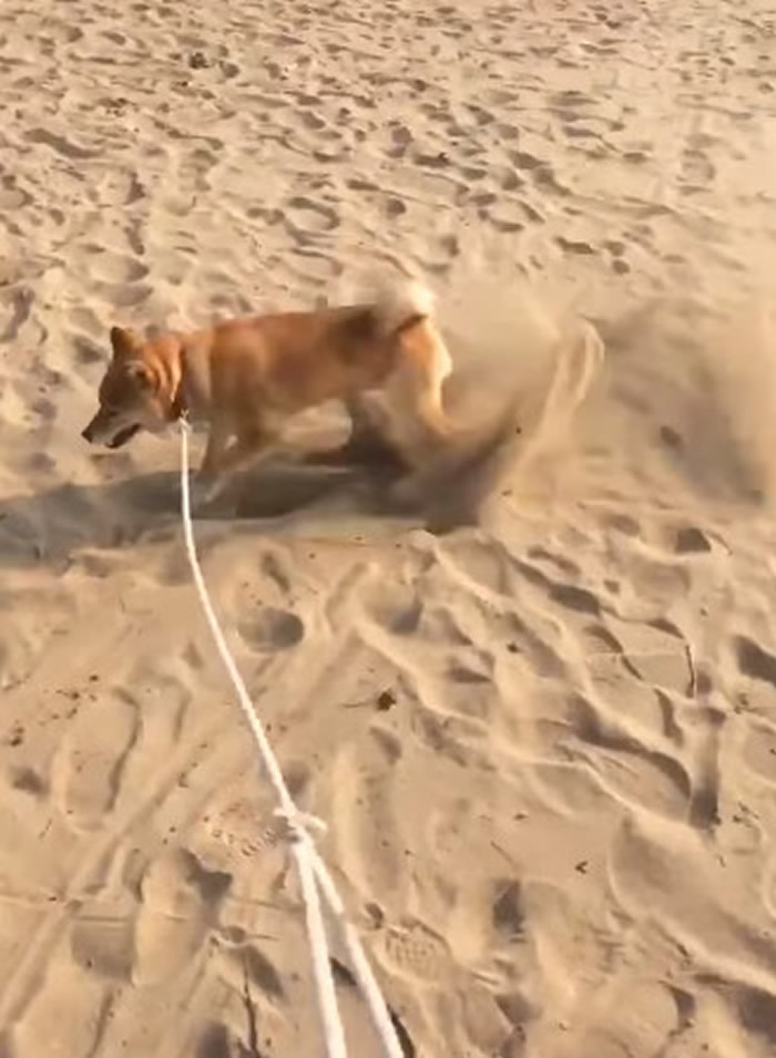 ��Ȯ�����������ݹ�����������