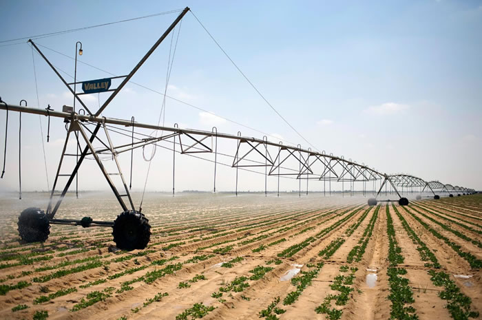 δ��30����50���˻�����ˮ����ʳ�ò������ϵ�״��