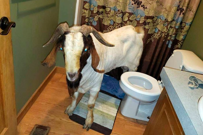 ɽ������ԡ��С˯Ƭ�̡�