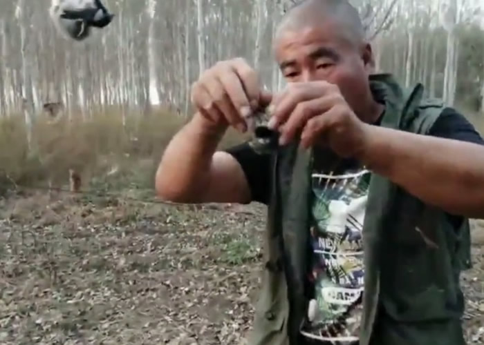 黑龙江哈尔滨市通河县城西村村民张大网捕逾百只鸟类 义工解救52只活鸟