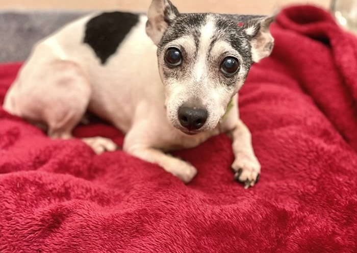 �������������Ů������ʧ����Ȯ12������� ����1.8�����ط�