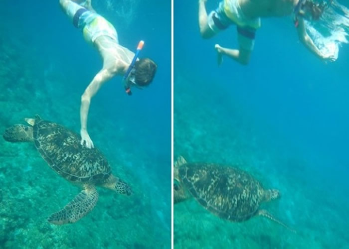 �¹����굽̨�帡Ǳ���ܱ��������P�� ���ͷ�Ժ������Ѷ