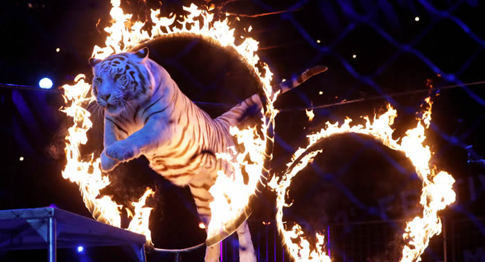 ����������������ǩ��ϵ�б������﷨���ֹ����Ƥ�ݲ�Ʒ����Ϸ��ʹ�ö���