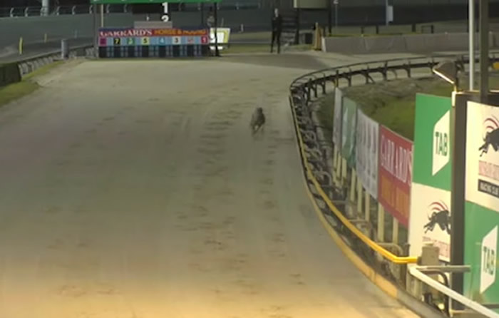 ���˵Ĺ������ڿ�Ҫ�ִ��յ㡣