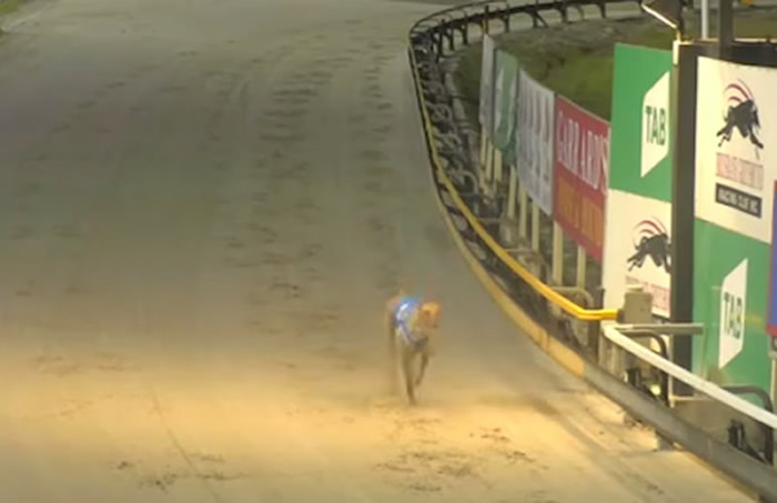 ��Ȼ��ɱ��������˵�������ѵ��Ա��˵�Ѻ����ô���