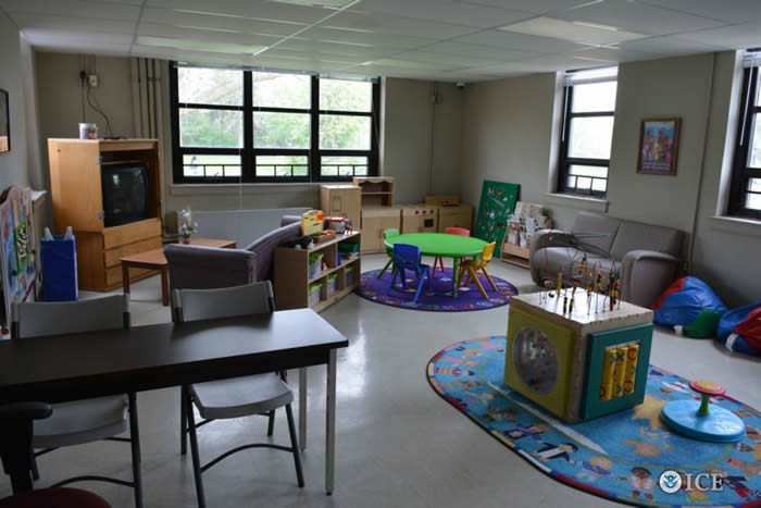 英国家族7人到加拿大旅游不小心驾车开进美国 被警车包围扣留苦不堪言