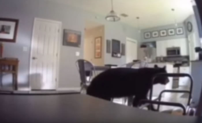 �������������һ���˼����ܹ�� ������¥��ȫȻ��֪