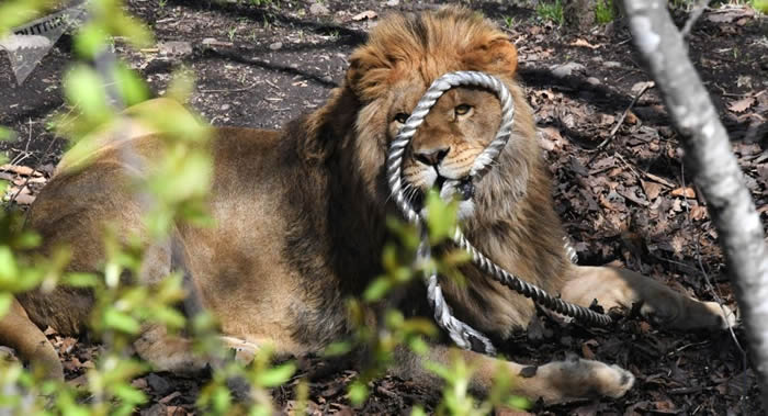 ͻ˹̹ʡϰųʨӹҪʵĵ繤