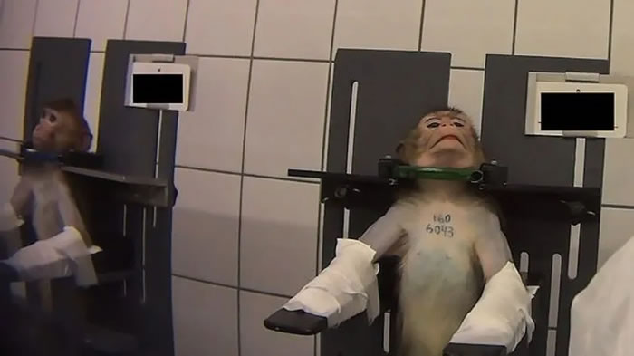 �¹�����������LPTʵ���ұ�������Ű������ ���ӱ���ס���Ӻ��ֽŽ���ʵ��