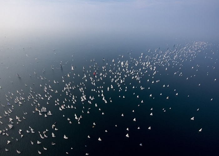 ȫ������ͷ���������Barcolana Regatta����2000�ҷ������������������˹����