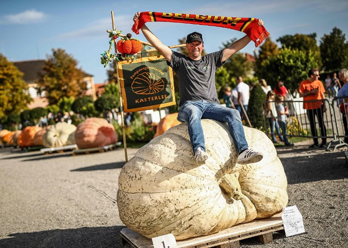 吉尔种出的巨型南瓜夺冠。