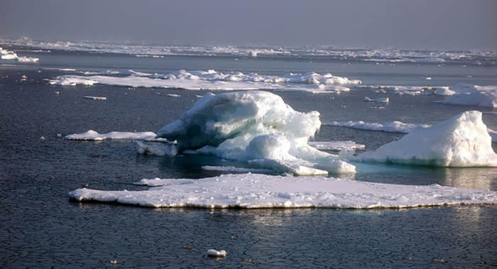 ���ö����ڻ�ÿ�������˹��ɵľ�����ʧ�ߴ�7.8����23����Ԫ