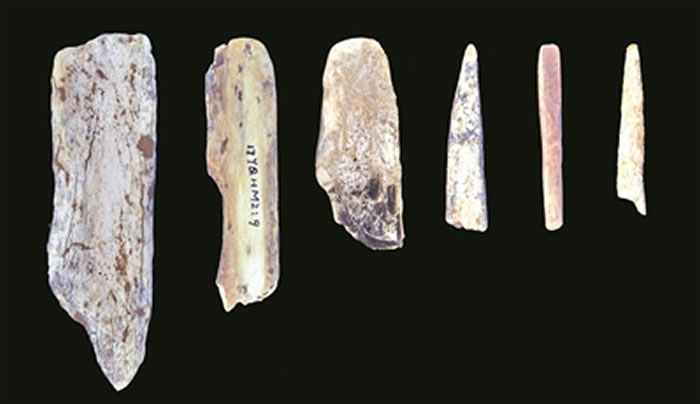 ����ѧ������ǿ������д�㶫������ʷ�ı���