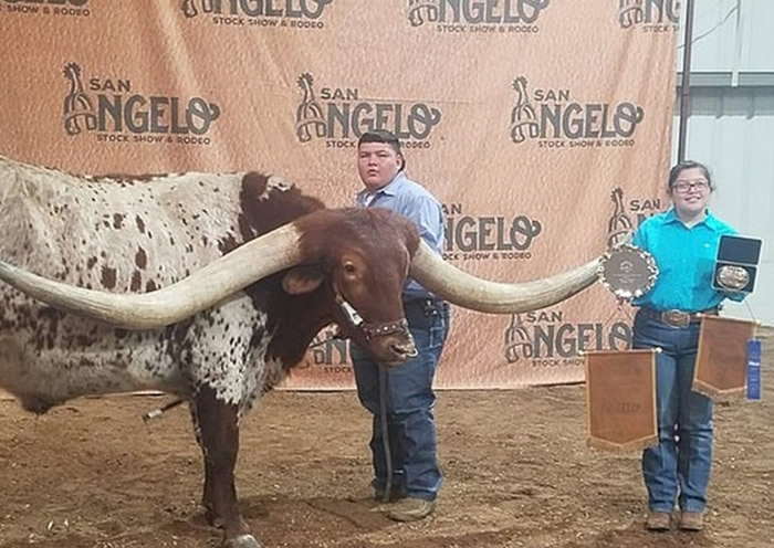 ˹ңڳ齱˵Ӯáͷ