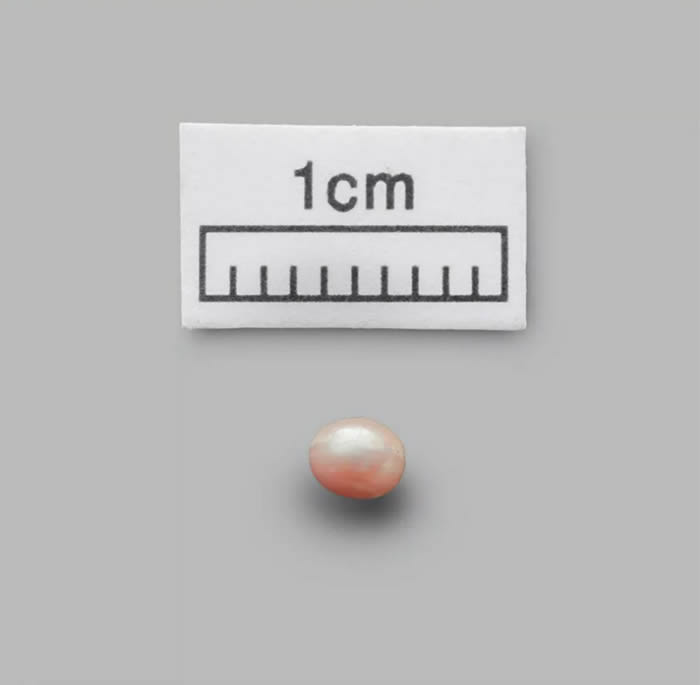 世界最古老的有8000年历史的“阿布扎比珍珠”将在阿布扎比卢浮宫举行的“万年奢华”展览期间展出